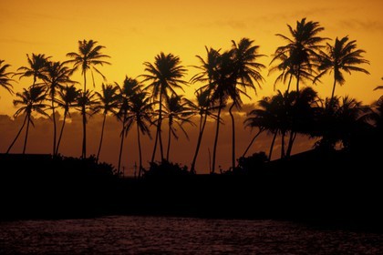 Grenadines - Caribbean