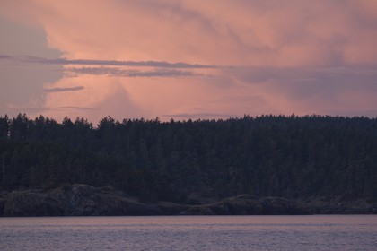 01 09 2008 - San Juan Islands (WA, USA) - Killer Whales