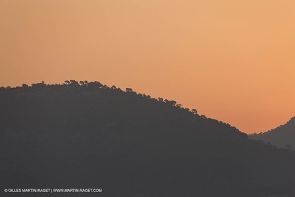 22 07 2009 - Sanary sur mer (FRA,83)