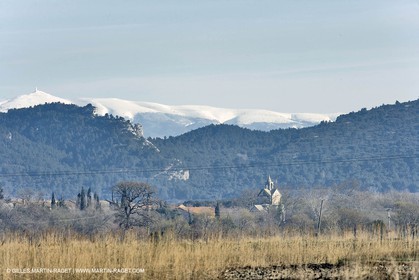 05 02 2008 - Arles (FRA, 13) - Paysages du Pays d'Arles