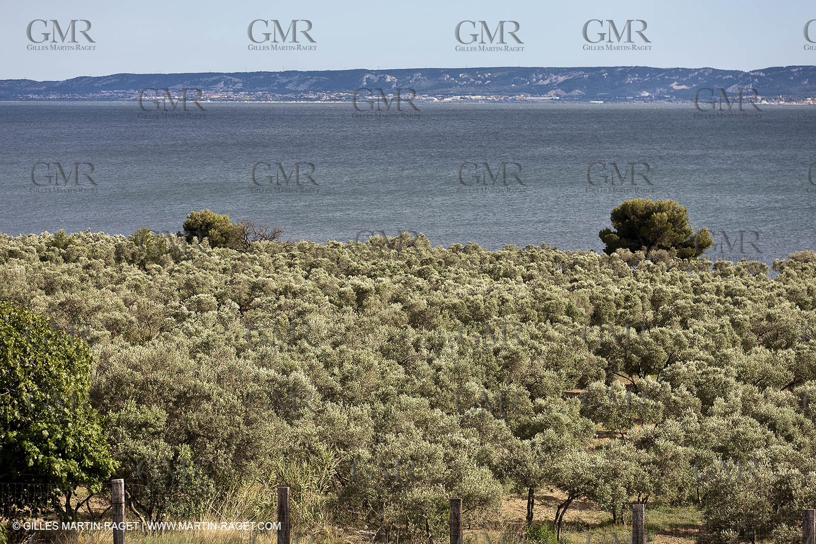 13 06 2012 - Saint Chamas (FRA,13)