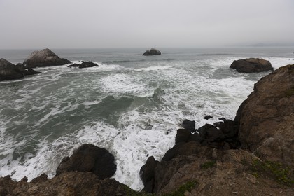 07 01 2011 - San Francisco (USA,CA) - Balboa natural area