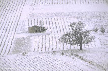 Sault Plateau in winter