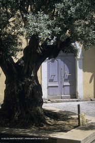France, Provence, Fréjus-Saint-Raphaël