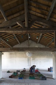 14 11 2015, Saint-Etienne du Grès (FRA,13), fabrication traditionelle de l'huile d'olive au moulin de la Croix