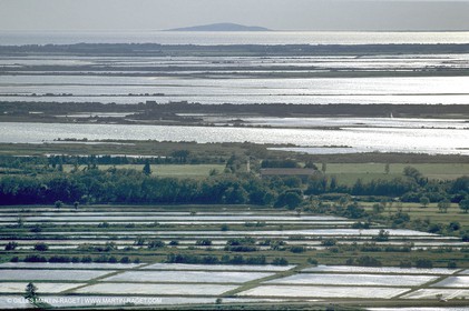 Ponds from Camargue