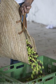 14 11 2015, Saint-Etienne du Grès (FRA,13), fabrication traditionelle de l'huile d'olive au moulin de la Croix