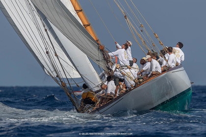VST21D6_1170.jpg