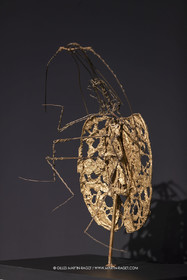 30 10 2023, Montpellier (FRA), oeuvre de Germaine Richier, Exposition Centre Pompidou - Musée Fabre 2023, La Mandoline [La Cigale] 1954-1955, Bronze naturel nettoyé, Epreuve d'exposition, Fondeur : L. Thinot, Paris, 60 x 39 x 44 cm, Collection particulière