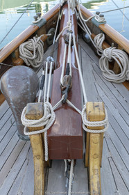 29 03 2019, Barcelona (Spain), Marigold