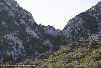 22 02 2008 - Saint Rémy de Provence (FRA, 13) - Alpilles hills landscapes
