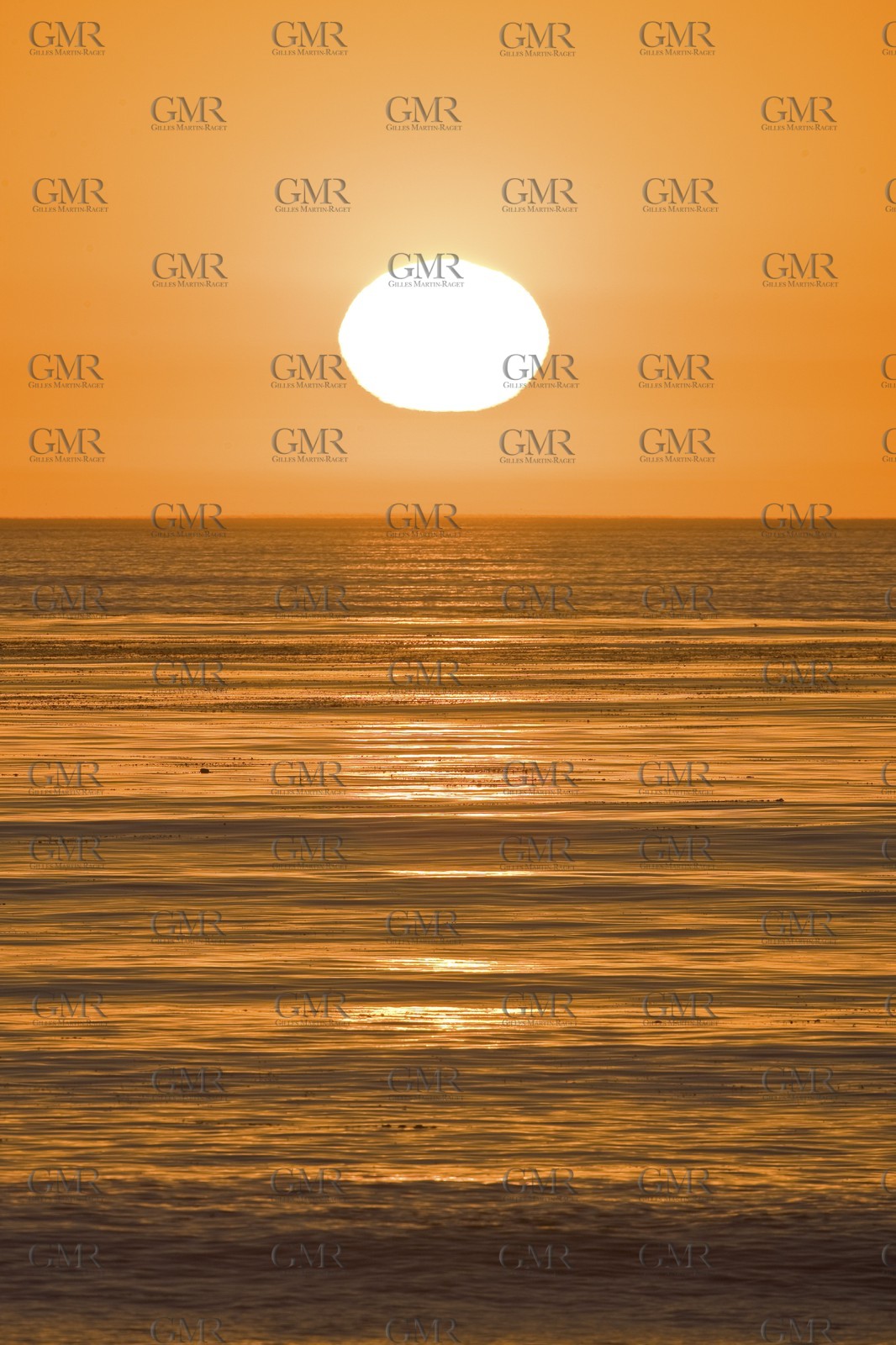 17 11 2008 - San Diego (USA, CA)