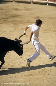 Gard, (FRA,30) - Camargue bull game