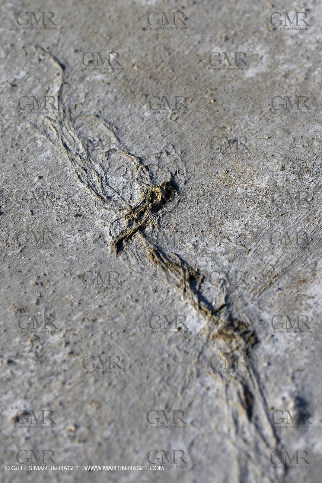 23 10 2014, Salins de Giraud (FRA,13), Salt & Speed 2014, Charlotte Consorti