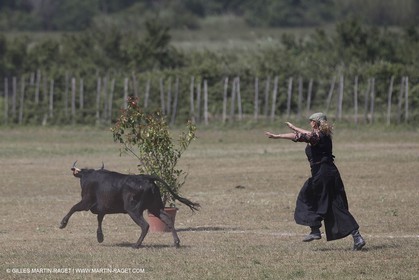 Course de Satin 2014 - Arles (FRA,13) - 1 06 2014**The satin race - Arles (FRA,13) - 01 06 2014
