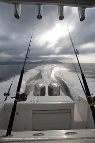 YC9H0236.jpg