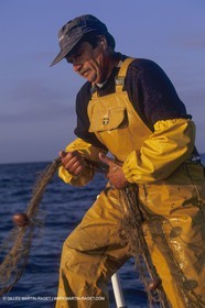 France, Provence, Pêche, barques, pointus, pêheurs, poissons