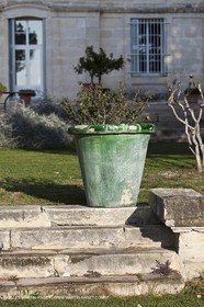 Saint Drézéry (FRA, 34), Domaine de Puech Haut