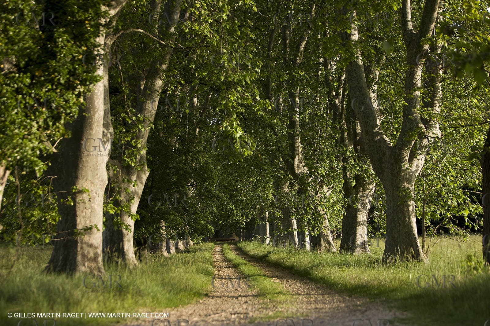 04 05 2008 - Arles (FRA,13)