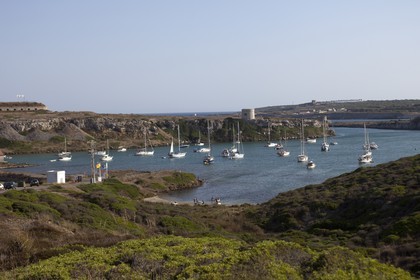 27 08 2010 - Minorque (ESP) - Punta de s'Espero (East coast)