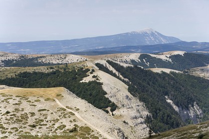 19 08 07 - Haute Provence, Paysages vus depuis le sommet de la montagne de Lure (FRA, 04)
