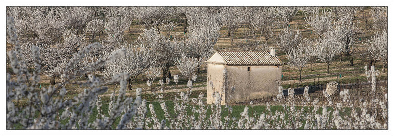 Produit : Tirage photo réalisé par nos soins sur imprimante jet d'encre professionnelle Epson à partir de 8 encres ultrachrome inaltérables (label Digigraphie).Formats au choix :. 20 x 60 cm. 33 x 95 cm- 52 x 150 cmChoix des papiers :. Papier standard brillant 250 gr., filet noir, marge blanche, tirage non signé. Papier haut de gamme satiné 290 gr. filet noir, marge blanche, tirage vérifié et signé par l'auteur.. Autres supports (canvas, acrylique, dibond) sur demandeConditionnement : tube cylindrique renforcé.Options pour l'expédition : . colissimo + dépôt boîte aux lettres (France uniquement). Colissimo avec signature à réception. Transporteur express (2 jours ouvrés) avec signature à réceptionCliquez sur caddie pour sélectionner votre formule et démarrer la procédure de commande en ligne