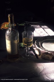 Wine - vineyards - Harvest