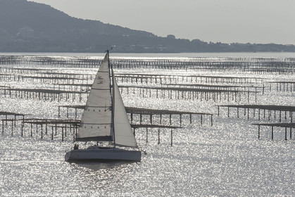 28 01 2016, Sète (FRA,34), Cruising on Thau Basin