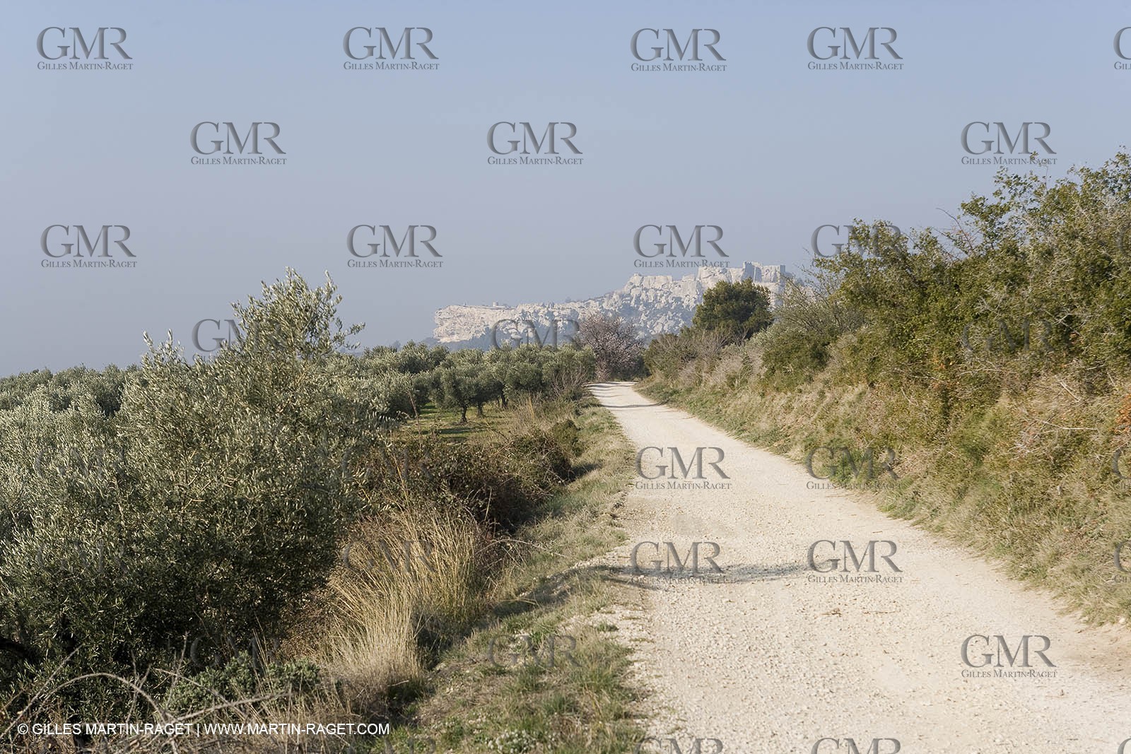 16 02 2008 - Les Baux de Provence (FRA, 13) - Alpilles hills landscapes