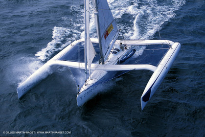 RhuMulti48.jpg