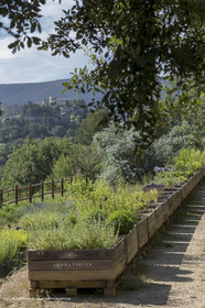 22 06 2018, Ménerbes (FRA,84), Domaine de la Citadelle, Jardin Botanique