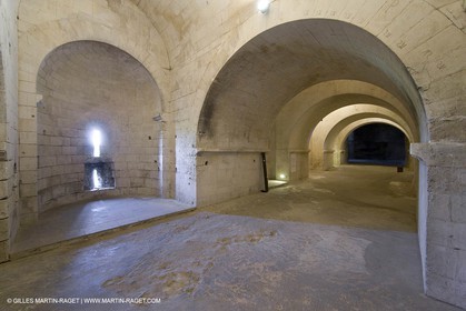 04 05 2008 - Arles (FRA,13) - Abbaye de Montmajour