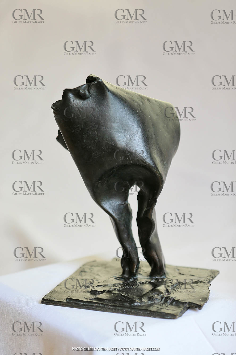 20 03 2016, St Rémy de Provence (FRA,13), Oeuvre de Germaine Richier, L'outre 1956, Bronze Patiné foncé, Numéroté 3 8, 28,5x24x19,5 cm, collection particulière