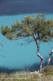 27 05 2009 - Marseille (FRA, 13) - Les Calanques - Sormiou