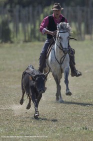 Course de Satin 2014 - Arles (FRA,13) - 1 06 2014**The satin race - Arles (FRA,13) - 01 06 2014