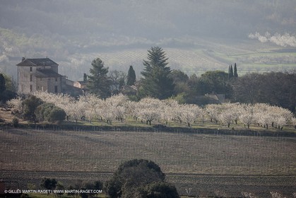 March 30th 2012 - Saint Saturnin les Apt (FRA, 84) - blooming cherry trees