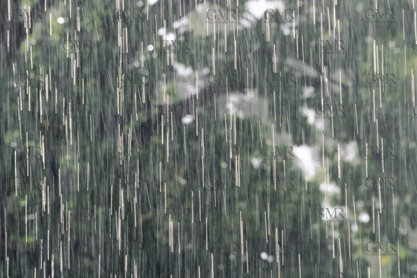 Destinations, Indian Ocean, The Seychelles