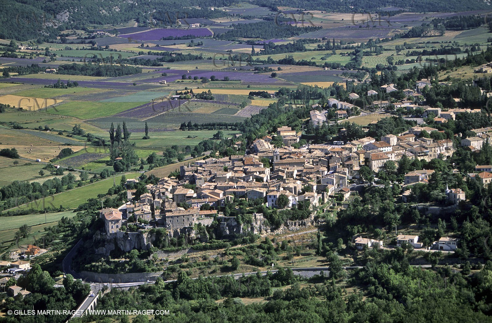 lavander fields , 2005, Sault