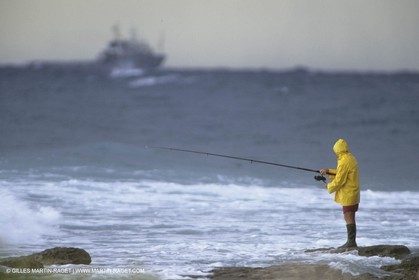 France, Provence, Pêche , Barques, pointus, pêche locale