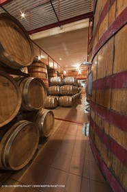 Saint Drézéry (FRA, 34), Domaine de Puech Haut