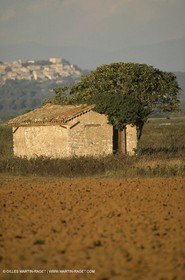 Luberon (FRA,84), Fall colors