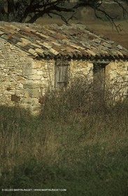 Luberon (FRA,84), Couleurs d'automne