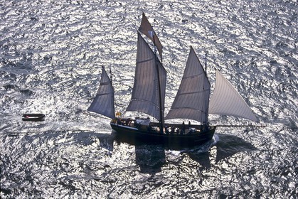 Tall ships