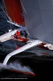 RhuMulti14.jpg