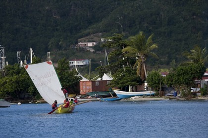 0F5J1817.jpg