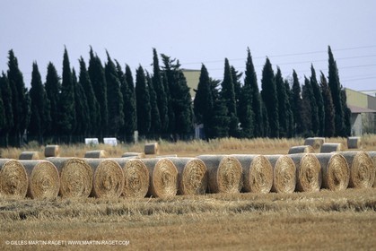 Nimes Metropole landscapes (FRA,30)