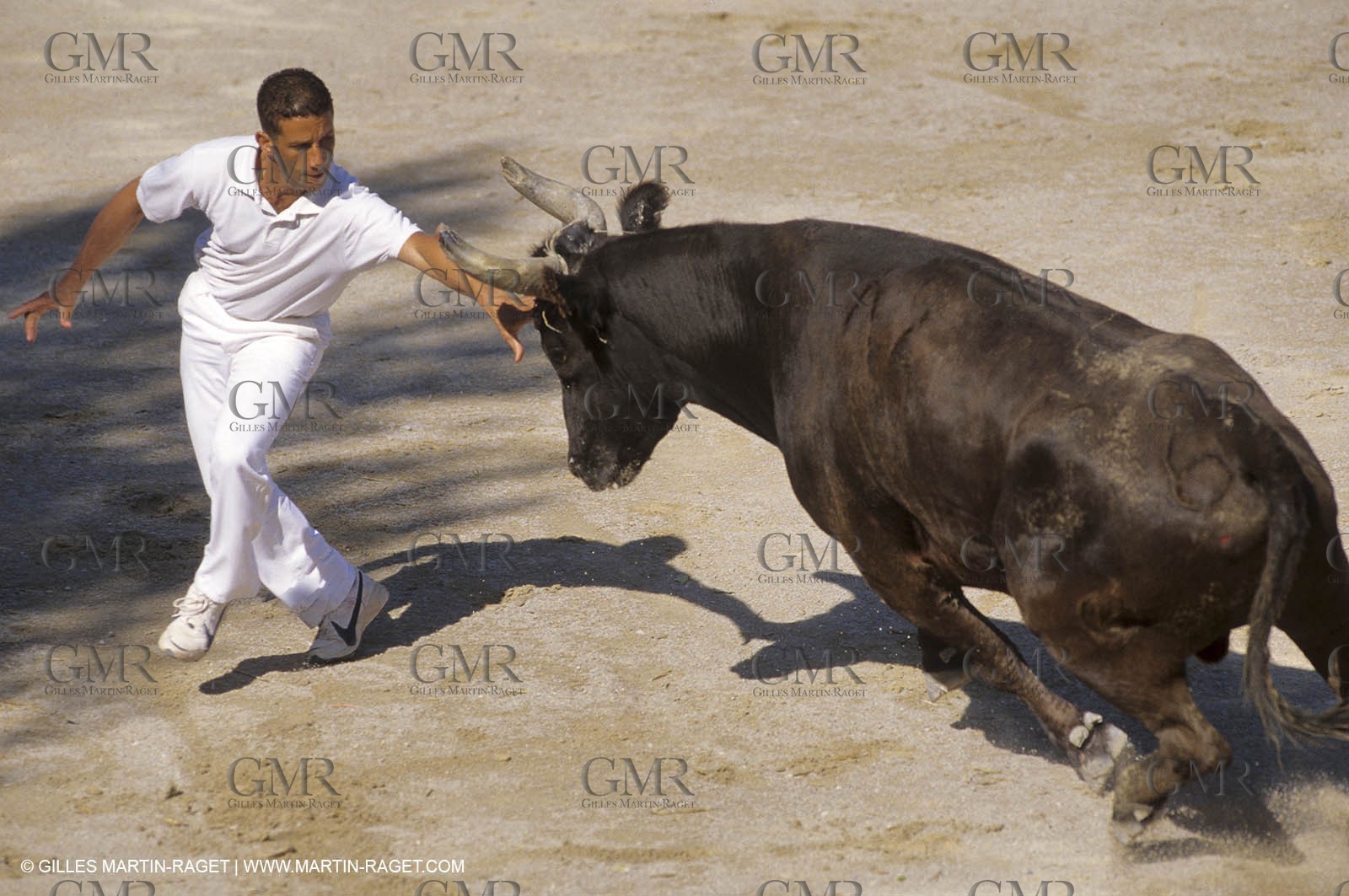 Camargue Bull game