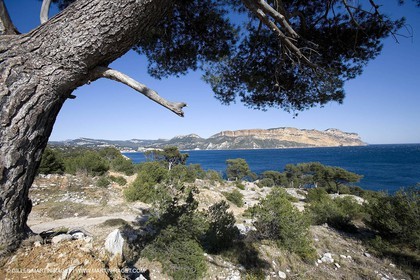 Calanques - Iles de Marseille - Cap Canaille