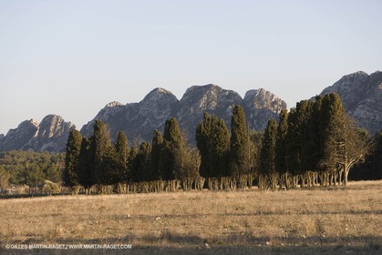 16 02 2008 - Les Baux de Provence (FRA, 13) - Alpilles hills landscapes