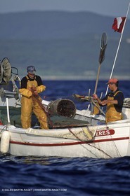 Var, Saint Tropez, (FRA,83), Pêche à Saint Tropez